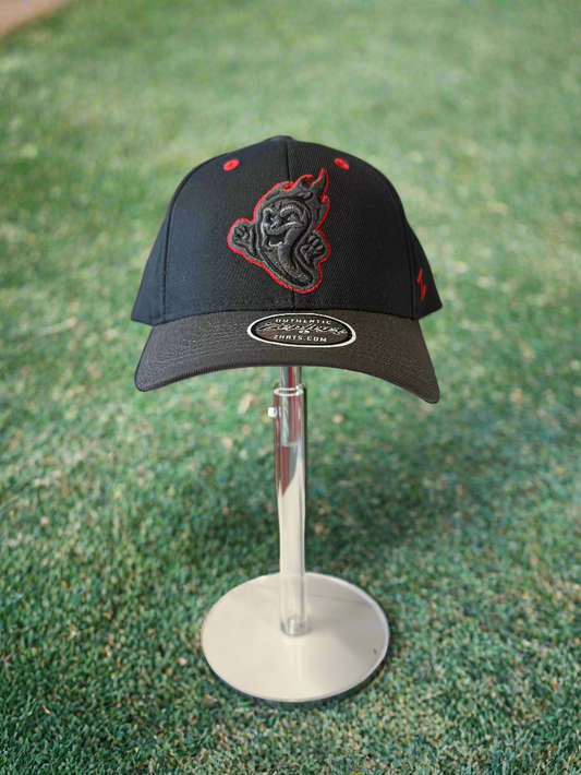 Gastonia Ghost Peppers Competitor Blk/Charcoal Gray Hat
